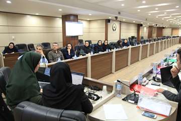 کارگروه مهندسی مشاغل قطب ده دانشگاه های علوم پزشکی